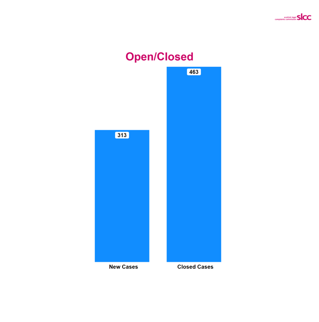 Column chart with 313 new cases and 463 closed cases